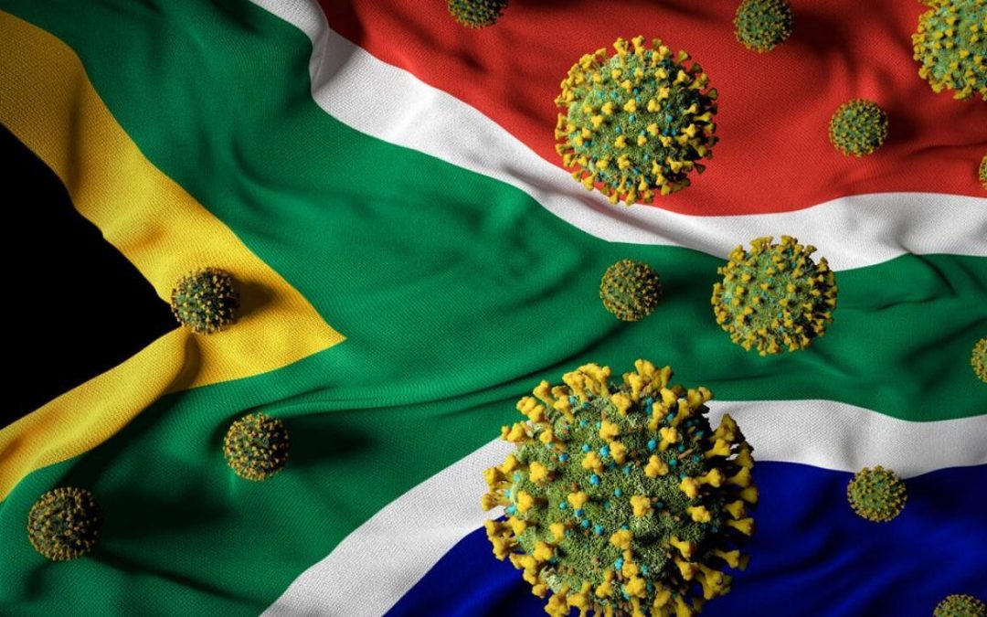 هل تهزم جنوب أفريقيا سلالة «كوفيد-19» المتحورة؟