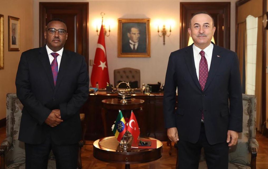 التقارب التركي الإثيوبي الأخير.. لماذا؟
