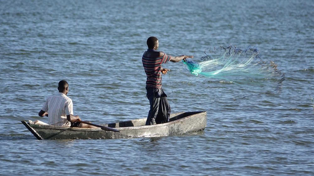 تصدير الأسماك يحرك مياه الخلافات بين كينيا وأوغندا
