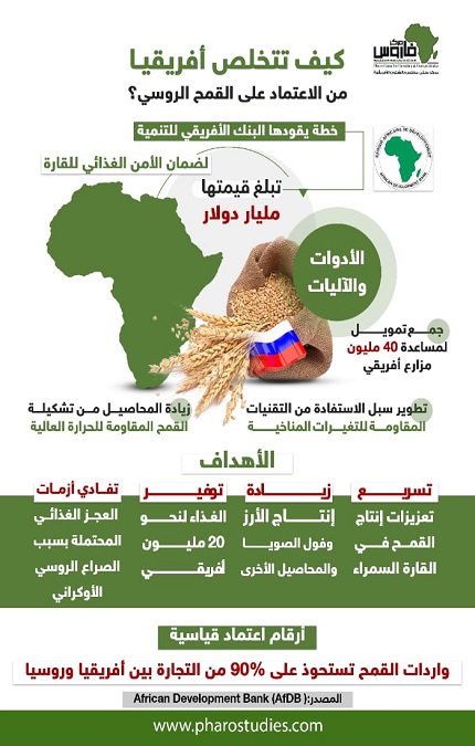 إنفوجراف| كيف تتخلص أفريقيا من الاعتماد على القمح الروسي؟