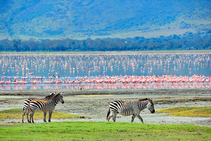 مسرح متنوع للطبيعة والحياة البرية.. جولة بين أفضل المنتزهات الوطنية في أفريقيا