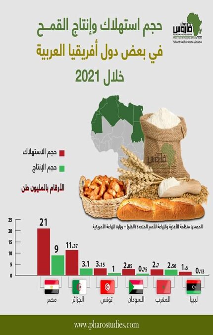 القمح في بعض دول شمال أفريقيا