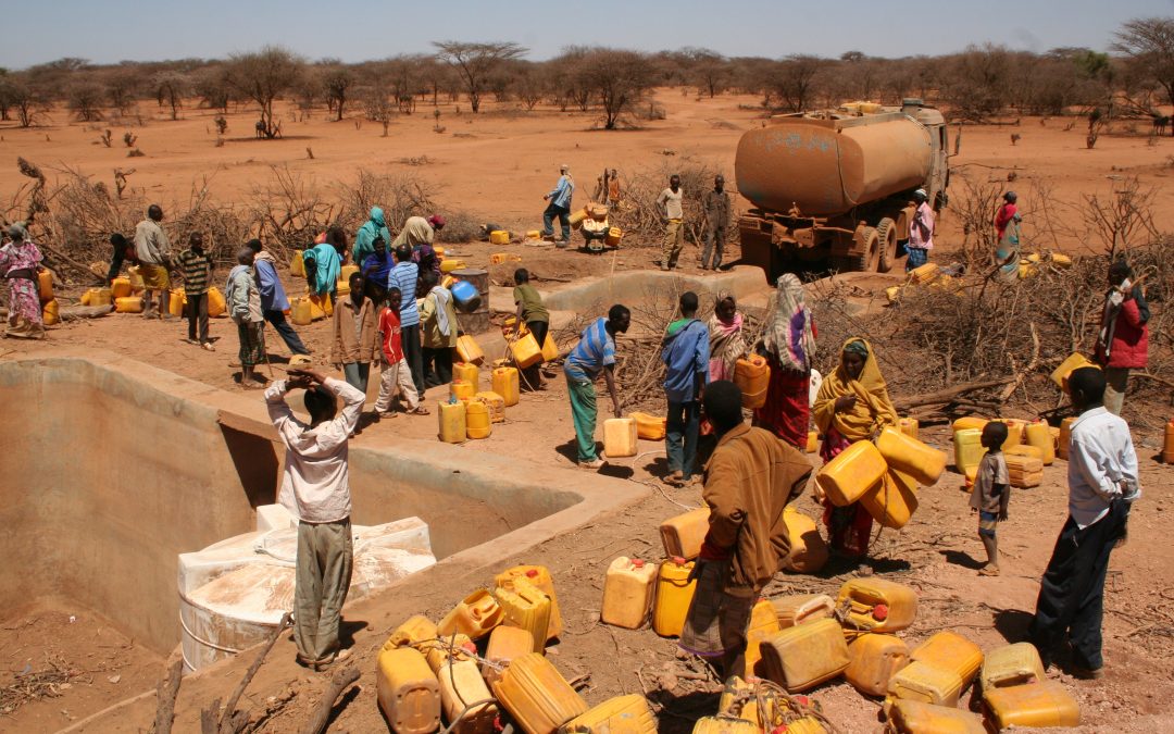مؤتمر المانحين.. 1.39 مليار دولار لمكافحة الجفاف بدول القرن الأفريقي
