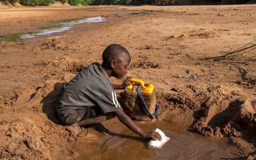 «هجرة التلاميذ».. الجفاف يهدد مستقبل ملايين الأطفال في القرن الأفريقي