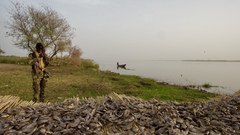 تداعيات تغير المناخ في بحيرة تشاد على الأمن الأفريقي (دراسة)