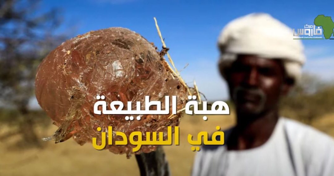 فيديو| صناعات عالمية كبرى مهددة بالاختفاء.. والسبب صمغ السودان