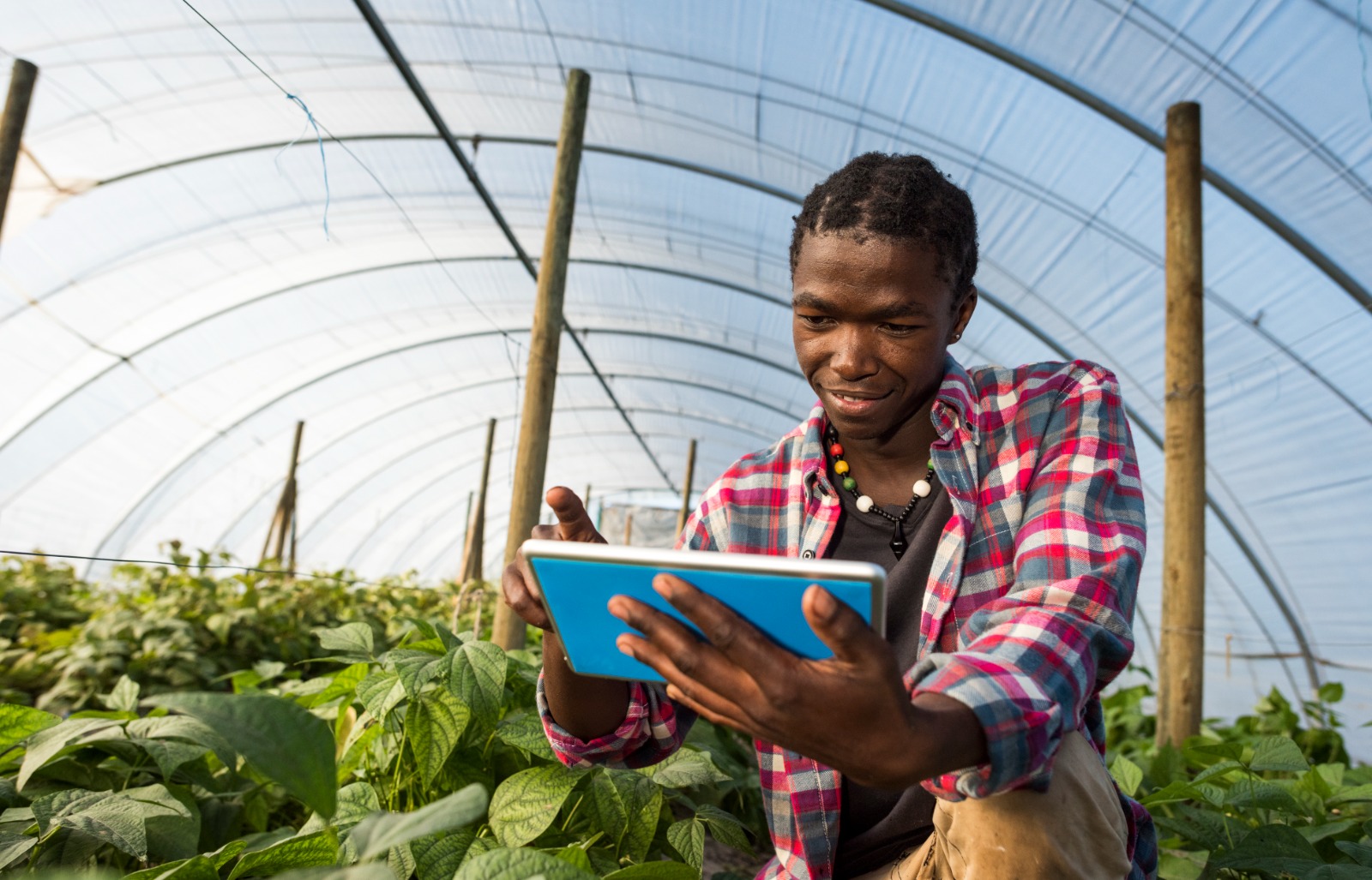 الاستثمار في الابتكارات الزراعية.. مسار أفريقيا «الذكي» نحو تحقيق الأمن الغذائي